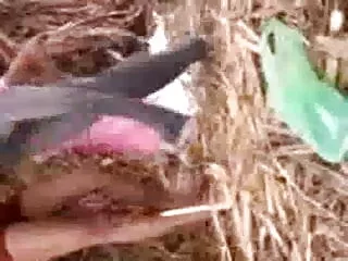 परिपक्व गोरा सेक्सी मूवी सेक्सी मूवी हिंदी में छूत