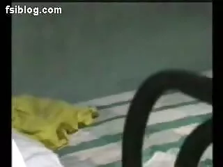 बालों सेक्सी मूवी फिल्म हिंदी में वाली किशोरी