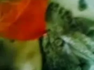 सोफिया सेक्स सेक्सी मूवी पिक्चर हिंदी में हथियार