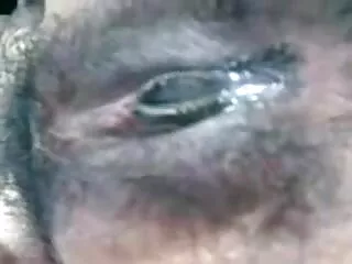 गोरा शक्ति # 4 मूवी सेक्सी वीडियो में