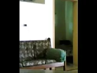 Slutty रेडहेड एक बार में दो डिक्स निगलता है सेक्सी मूवी इंग्लिश में